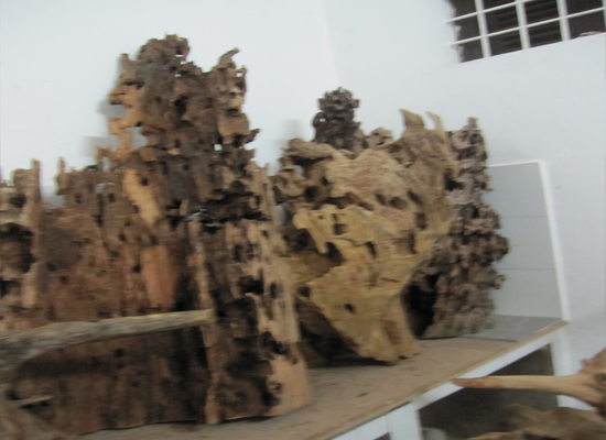gỗ lũa đẹp
