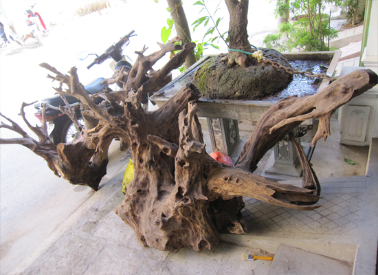 bán gỗ lũa đẹp