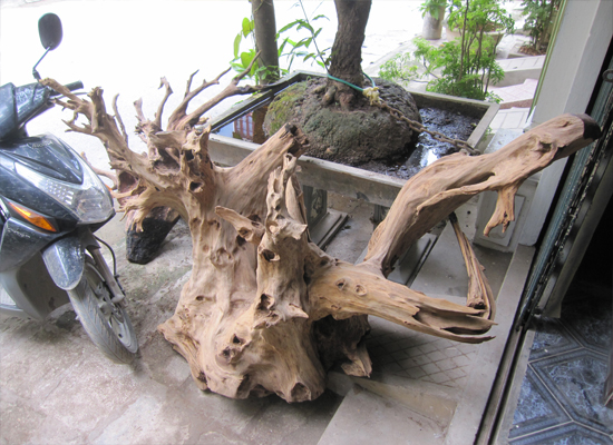 bán gỗ lũa đẹp